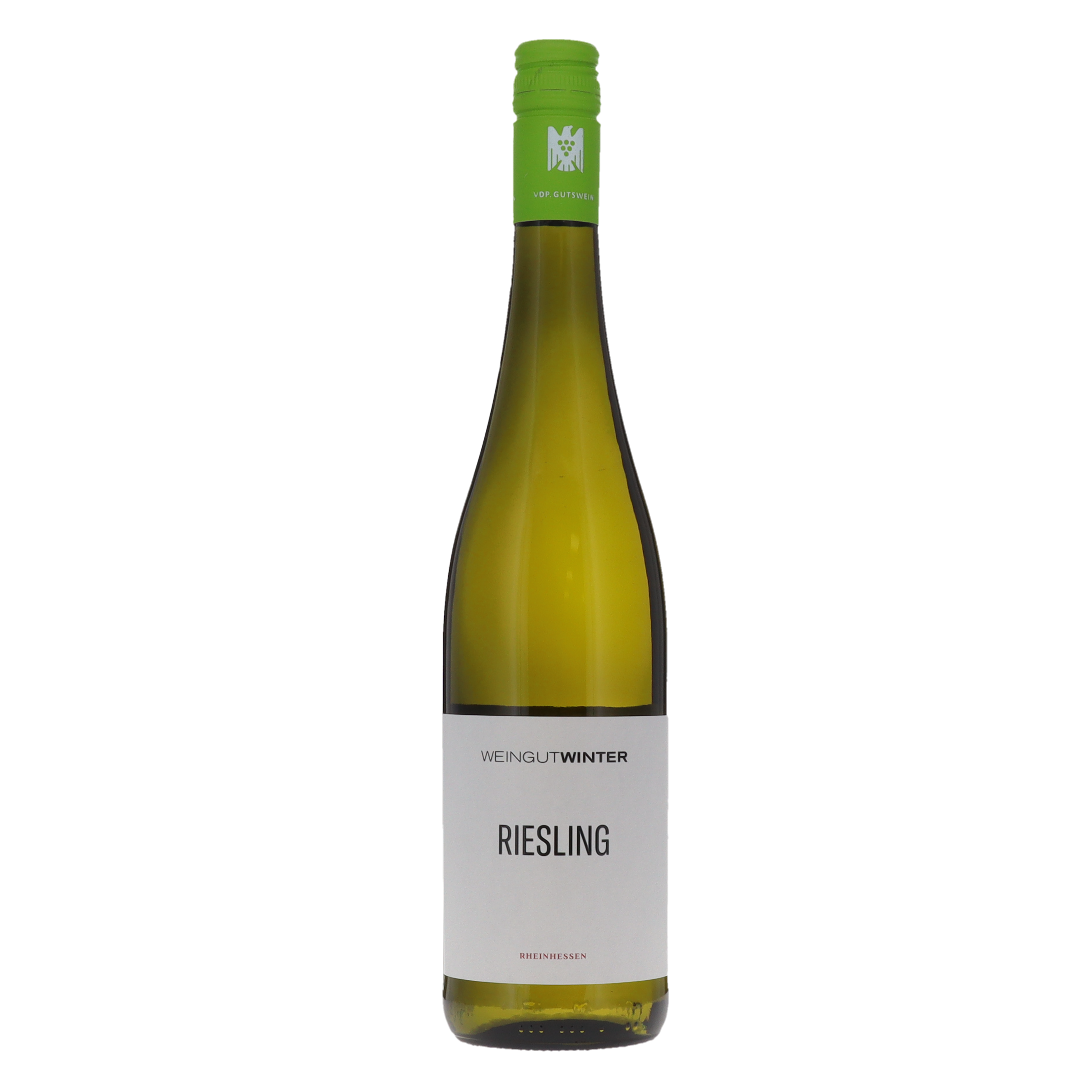 STEFAN WINTER GUTSWEIN 75X6